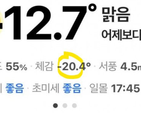 체감온도 영하20도