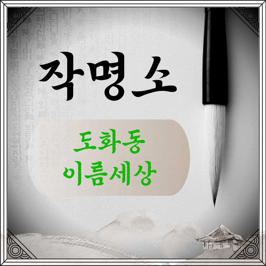 [도화동-이름세상]