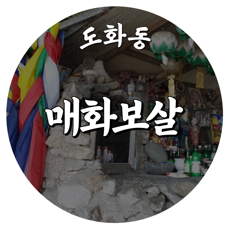 [도화동신점-매화보살]