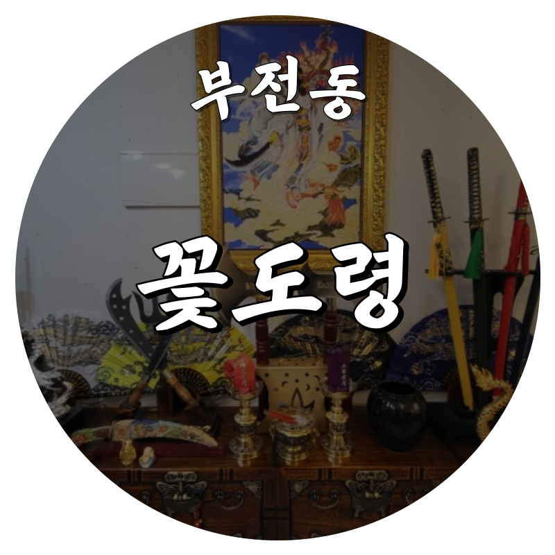 [부전동-꽃도령]