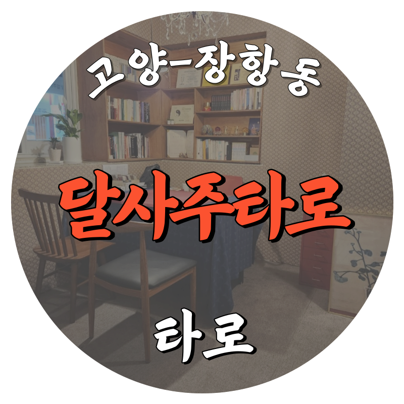 [장항동-달사주타로]