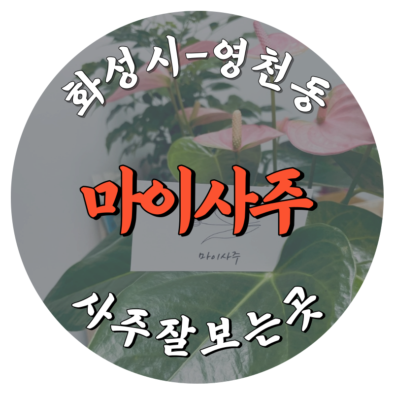 [영천동-마이사주]