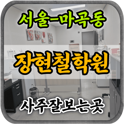 [마곡동사주-장현철학원]