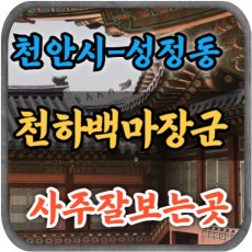 [천안성정동사주-천하백마장군]